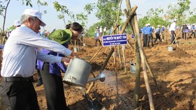 Đồng chí Nguyễn Thị Quyết Tâm tham gia trồng cây 