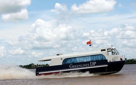 本市-芹耶-頭頓高速客船恢復運營。（圖源：Greenlines DP）