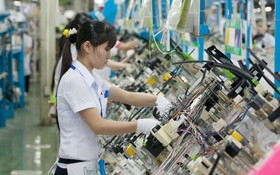 平陽省 YAZAKI 外資公司的生產線。