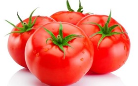 番茄厚厚的皮中含有番茄紅素一種很強的抗氧化物質，能清除體內自由基，幫助人體抗衰老。（示意圖源：互聯網）
