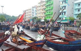 漁船歸港避颱風。