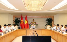 政府副總理、外交部長范平主持會議。（圖源：海明）