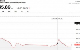 昨(11)日越南股市暴跌48.07點。