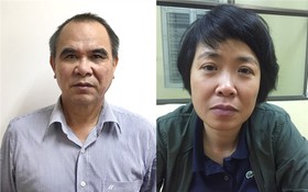 被起訴的2名嫌犯高維海（左）和范氏芳英。（圖源：公安部）