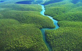 最新報告：自2000年以來，秘魯共損失了200萬公頃的原始森林。圖為亞馬遜熱帶雨林空照一瞥。（圖源：互聯網）