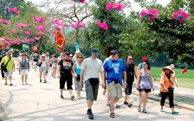 2019年越南國際遊客人數將繼續增長。