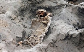 秘魯考古學家表示，他們在秘魯首都利馬北部奇穆文明遺址發掘出了227具屍體，從現場屍骨的尺寸判斷，這些都是兒童的屍體。（圖源：AFP）