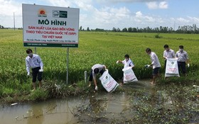 農民在田野上收集農藥廢棄包裝。（圖源：nongnghiep.vn）