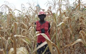 世界糧食計劃署表示，到2019年10月，津巴布韋超過三分之一的農村人口將糧食不安全。（圖源：聯合國）