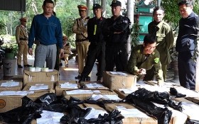 廣平省公安職能力量查獲的非法收藏鞭炮。（圖源：香江）