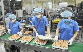 永成達公司生產南部西區原料的蛋類。