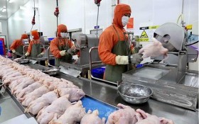 越南C.P.畜牧股份公司的雞肉加工製品即將進軍俄羅斯市場。（示意圖源：越通社）