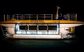 Vinpearl度假酒店訂購的Triton Deepview24潛艇。（圖源：Triton）