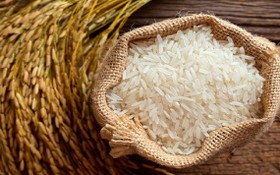 稻米價格穩定。（示意圖源：互聯網）