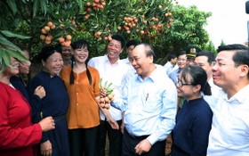 阮春福總理（前右三）同北江省米脂荔枝產量最多地區的同胞交流。（圖源：VGP）