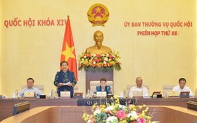 國會常務副主席從氏放（左二）主持會議。（圖源：Quochoi.vn）