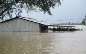 洪水淹沒承天-順化省廣田縣的不少鄉村。（圖源：秋莊）