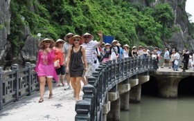旅遊部門須推出更多新行程來吸引遊客。