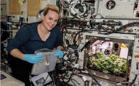 美國女性宇航員凱特·魯賓斯檢視國際空間站種植的蘿蔔。 （圖源：CNN）