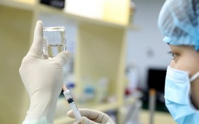 越南研究生產的第二種新冠疫苗將於1月21日進行人體試驗。