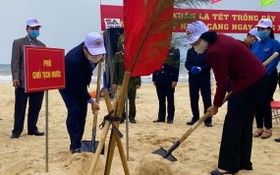 國家副主席阮氏玉盛（右）同廣平省領導在沙灘上栽植防風樹種。（圖源：人民報）