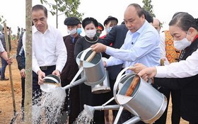 政府總理阮春福參加植樹活動。（圖源：越通社）