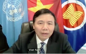 越南駐聯合國常值代表團團長鄧廷貴大使。（圖源：朱文）