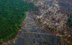 亞馬遜雨林濫伐問題未因冠病大流行減緩，在2020年多達230萬公頃的雨林面積消失。（圖源：Getty Images）
