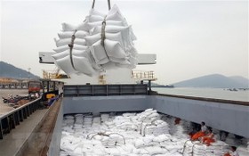 大米出口裝船。（圖源：互聯網）