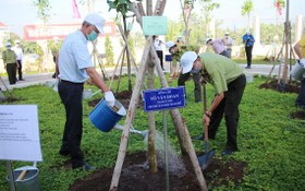 市領導參加植樹活動。