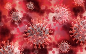 世界衛生組織首席科學家斯瓦米納坦18日表示，最初在印度發現的新冠變種病毒Delta正成為全球主要流行的變種病毒株。（示意圖源：Pixabay）