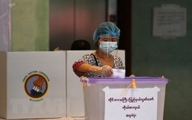 圖為 2020年11月8日緬甸選民在仰光的一個投票站投票。（圖源：AFP）