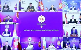 東盟-新西蘭外長會議以視頻方式舉行。（圖源：越通社）