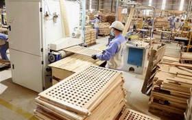 Woodsland公司的木製傢具生產車間一瞥。（圖源：越通社）