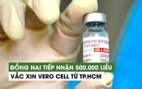 Vero Cell 疫苗。（圖源：視頻截圖）