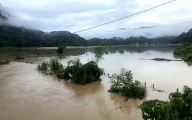 北件省屯市縣南強鄉的稻田被淹沒在洪水中。（圖源：越通社）