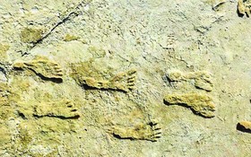 白沙國家公園發現北美洲最古老人類腳印。（圖源：互聯網）