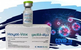 Hayat-Vax新冠疫苗。（圖源：衛生部）