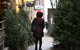 紐約街頭聖誕樹攤位。（圖源：Getty Images）