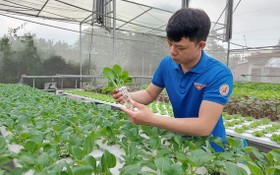 潘仲仁教師在應用高新技術的菜園工作。