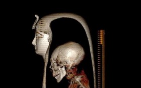 使用電腦斷層掃描技術創作的阿蒙霍特普一世頭骨。（圖：EPA）