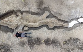 英發現 1.8 億年前魚龍化石