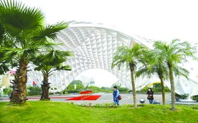 峴港 APEC 塑像公園擴建落成
