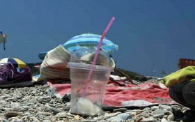 塑料污染到達世界海洋各個角落。（圖：WWF）