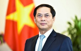 外交部長裴青山。（圖：VOV）