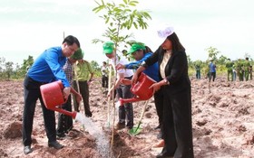 共青團中央書記吳文剛（左）同當地領導一起參加植樹澆水。（圖：黃平）