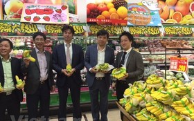 越南香蕉很受日本消費者的歡迎。（圖：越通社）