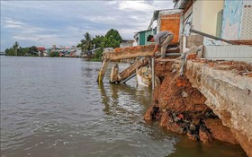茶諾河岸侵蝕嚴重，威脅著人們的生命和財產安全。（圖：越通社）