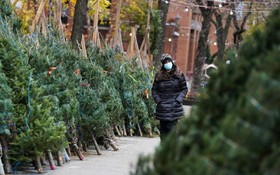 2021年12月2日，在美國紐約，一名女子從擺放在街邊售賣的聖誕樹旁經過。（圖：互聯網）