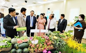 “2022年隆安-九龍江平原區域工商展銷會”將於下月初舉辦。